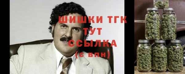 PSILOCYBIN Алзамай