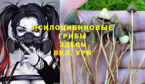 PSILOCYBIN Алзамай