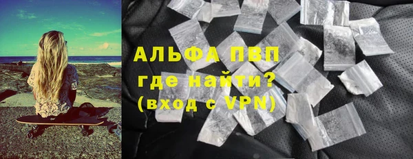 индика Снежногорск