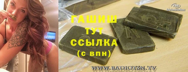 PSILOCYBIN Алзамай