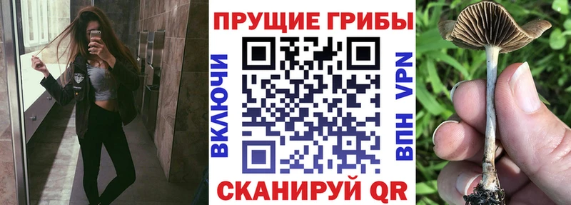 Псилоцибиновые грибы ЛСД  Карабулак 