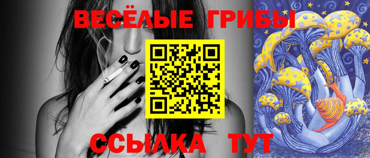 Карабулак  Псилоцибиновые грибы Cubensis  Вход с VPN 